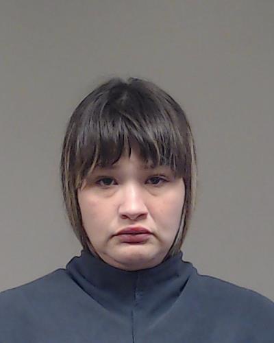 Ortiz, Megan Nicole booking photo