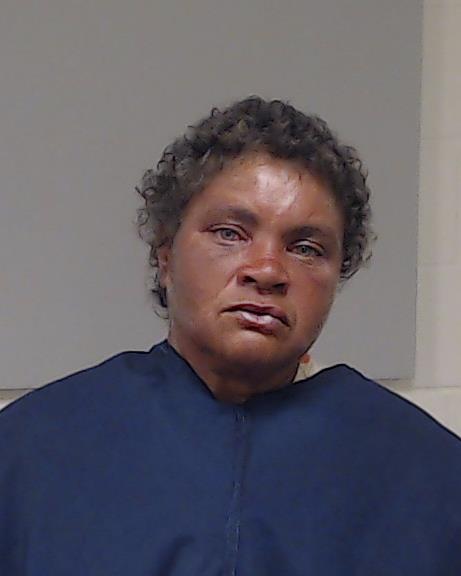 Davidson, Angela booking photo