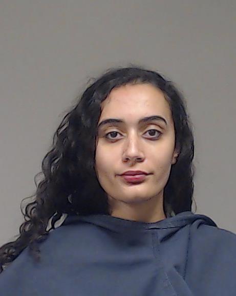 ELSHAMY, SALMA booking photo