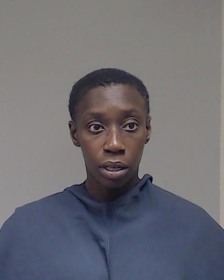 Hollins, Katasia Marie booking photo