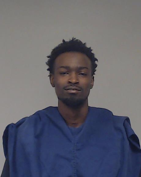 LEE, AYAZAH FARRAKHAN MALIK arrested by Collin County SO/PD