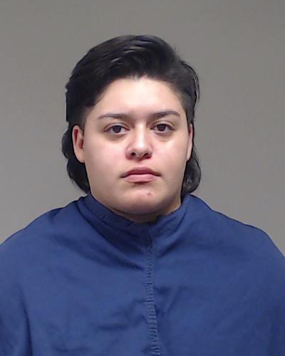 Ivarrola Torres, Jocelyn booking photo