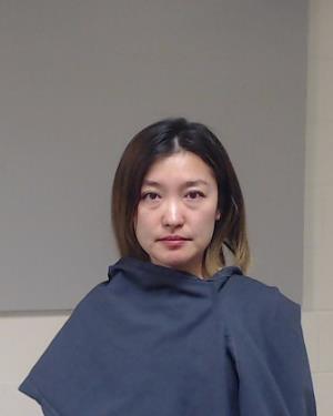 Yin, Guolin arrested by Collin County SO/PD