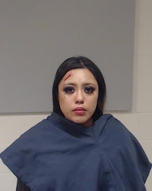 Alejos-Ortega, Zayra Paola arrested by Collin County SO/PD