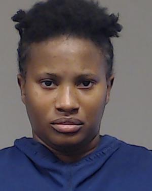 Fisher, Deantranee Raynier arrested by Collin County SO/PD