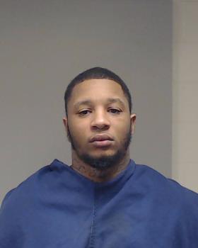 Johnson, Robert Louise booking photo