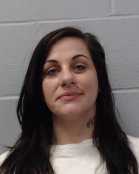 Mahan, Gina Nicole booking photo