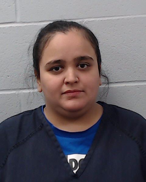 Lopez, Amanda Nichole booking photo