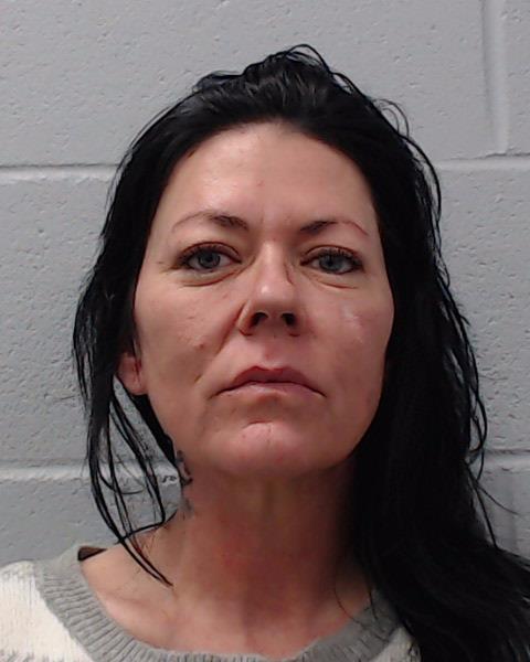 Hayes, Susan Ann booking photo