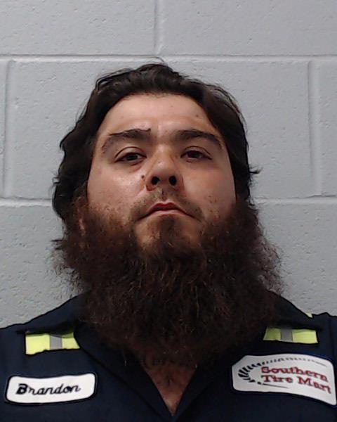 Arzola, Brandon Michael booking photo
