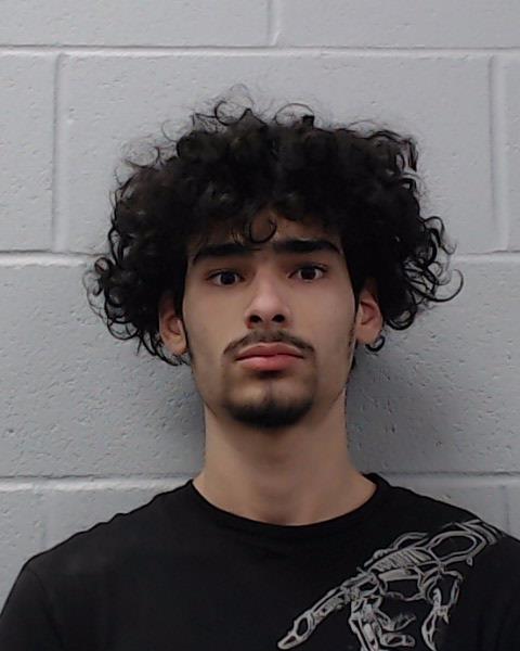 Sivilla Delgado, Alain booking photo