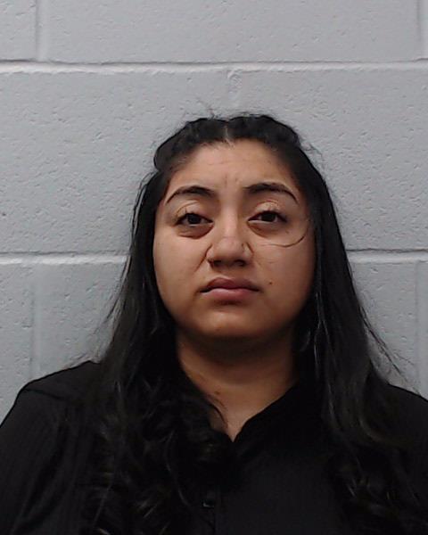 Zamorano, Vanessa Nataly booking photo