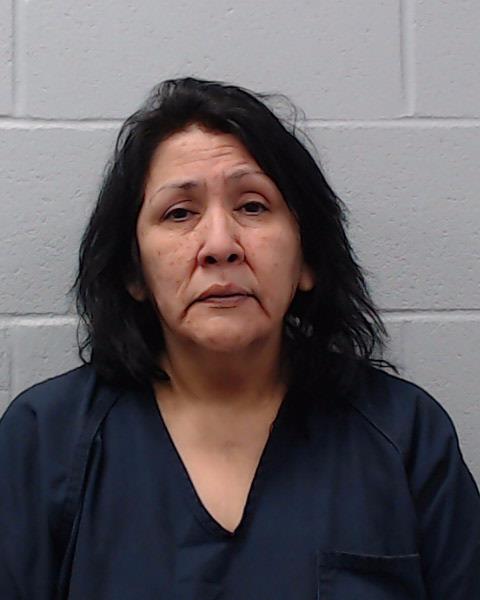 Ramirez, Rachel Perez booking photo