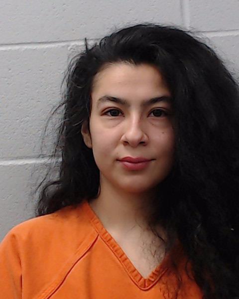 Hernandez, Frances Marisela booking photo