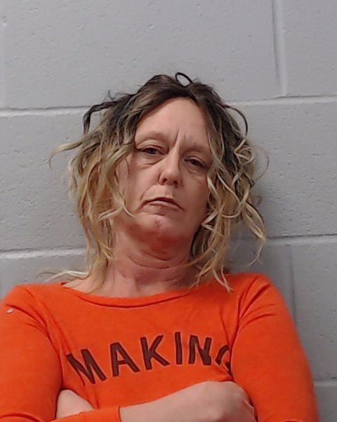 King, Lisa Ann booking photo