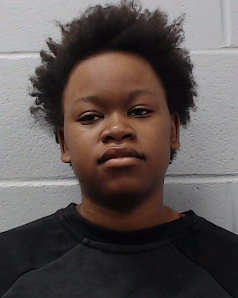 Bryant, Ania Lachell booking photo