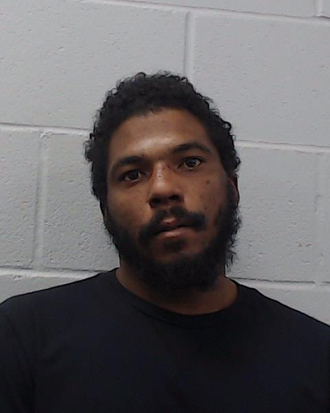 York, Alonzo Lamant booking photo