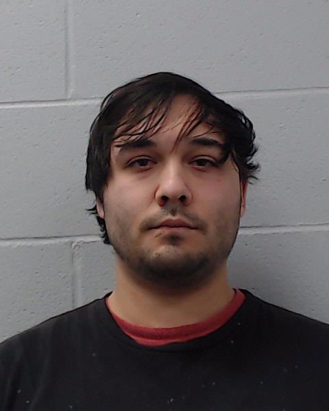 Jordan, Austin Tyler Dale booking photo