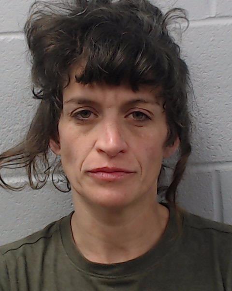 Akhavan, Karina Zavan booking photo