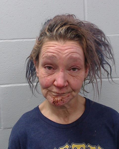 Wood, Cherie Denise booking photo