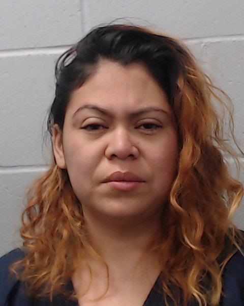 Alvarado Landaverde, Erika Anabel booking photo