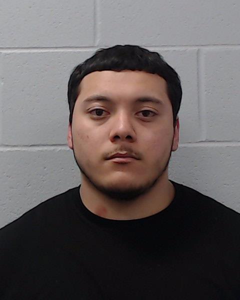 Gonzales, Louise Andres arrested by Hays County SO/PD