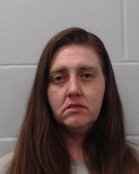 Damiani, Alissa N booking photo