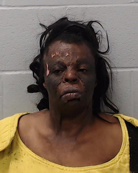 Harris, Melissia Nicole booking photo
