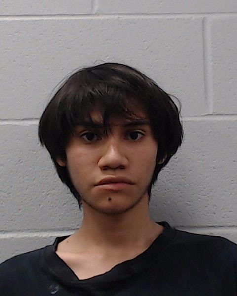 Rivera, Nelson Alexander booking photo