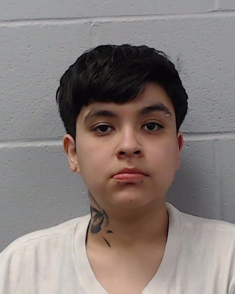 Mendoza, Serena Alexandrea booking photo