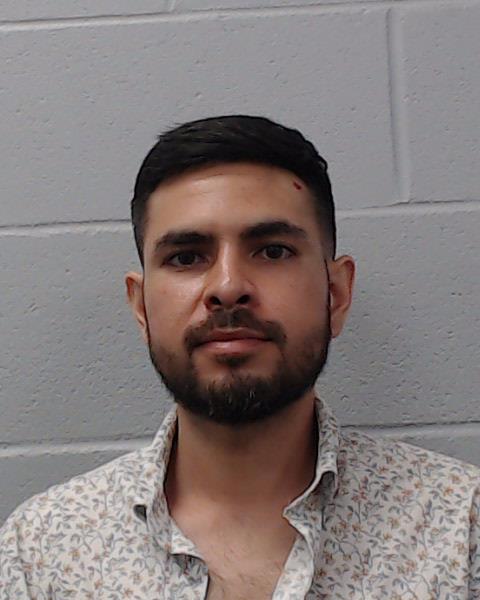 Delgado, Roberto Jr booking photo