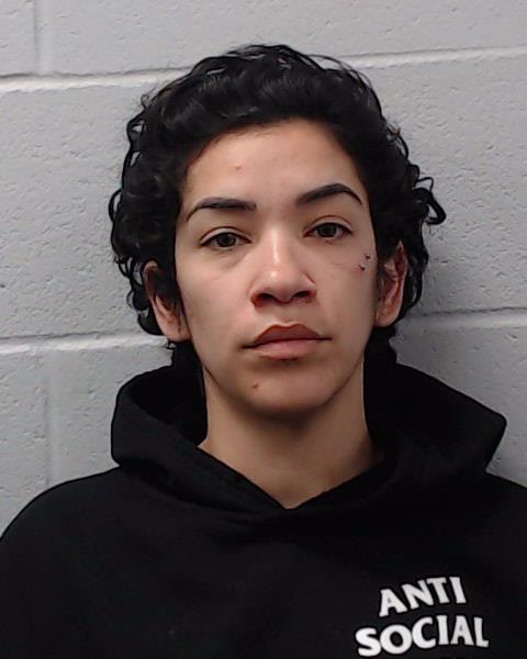 Viera, Damaris Angelica booking photo