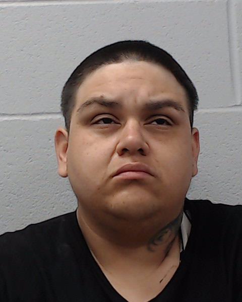 Trevino, Erica Marie booking photo