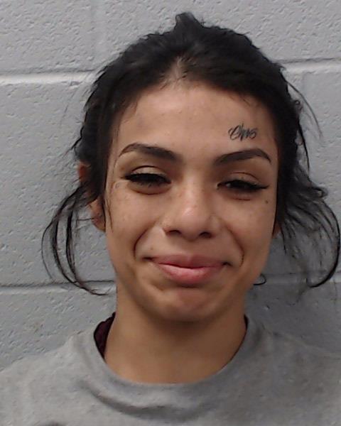 Trevino, Lisa Marie booking photo