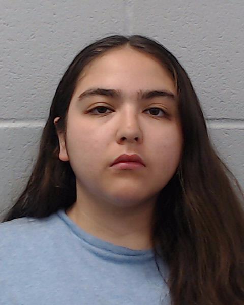 Perez, Ashley Marie booking photo