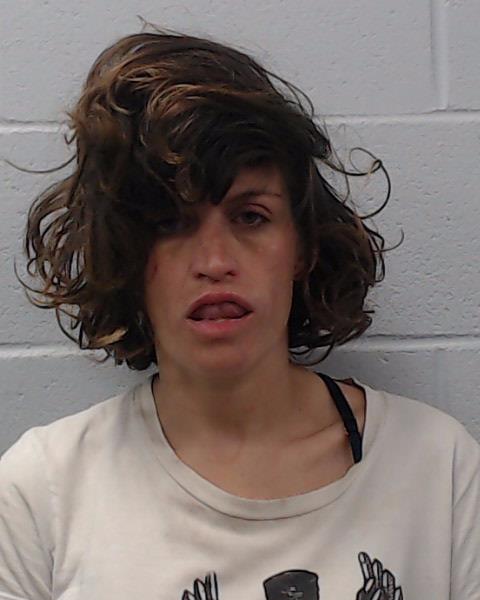 Akhavan, Karina Zavan booking photo