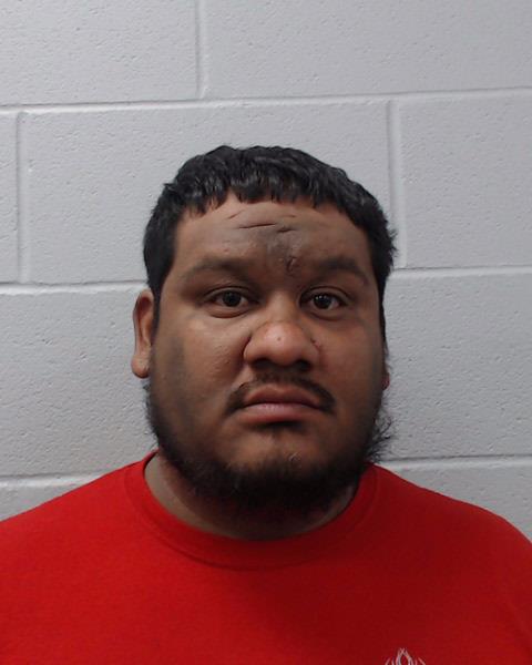 Navarro Sustaita, Sergio Antonio booking photo