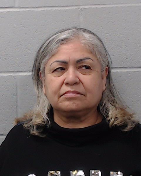 Maldonado, Sandra Trevino booking photo
