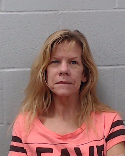 Saine, Ranee Lee booking photo