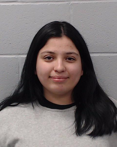Marinez, Allison booking photo