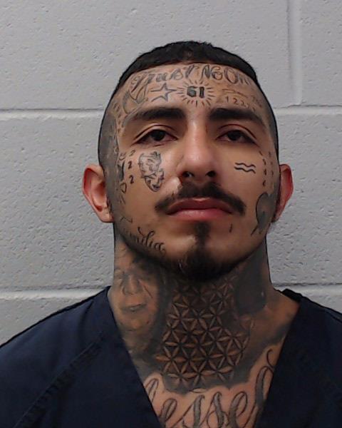 Rizk, David Jordan booking photo