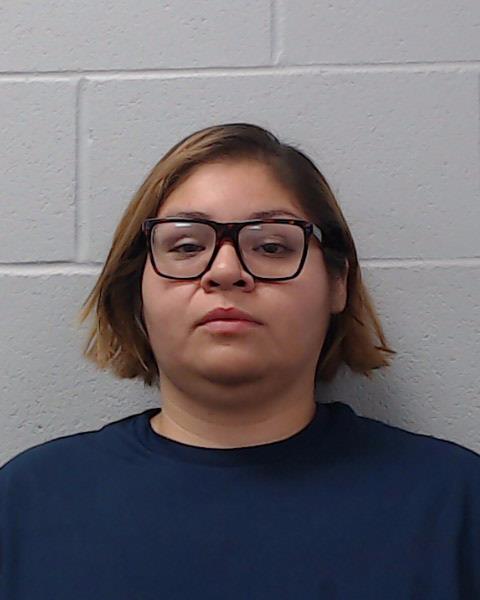 Delgado, Angel Monique booking photo