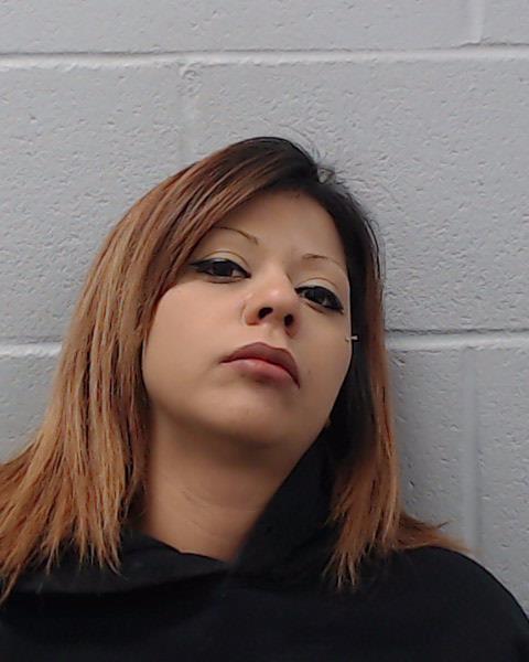 Gonzales, Brittany Nicole booking photo