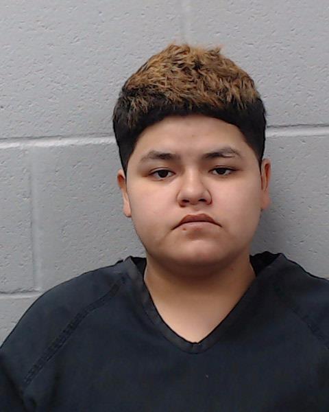 Castillo, Hannah booking photo