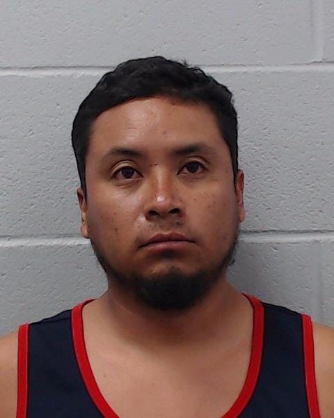 Hernandez Ledezma, Moises booking photo