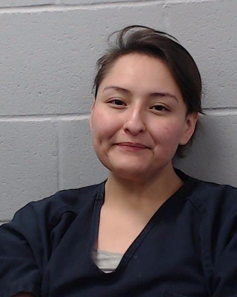 Gomez-Garcia, Sandra Elena booking photo