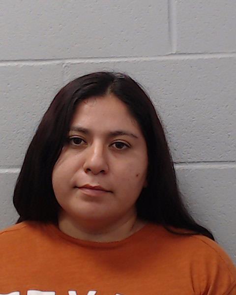 Fuentes Reyes, Silvia Anabel booking photo