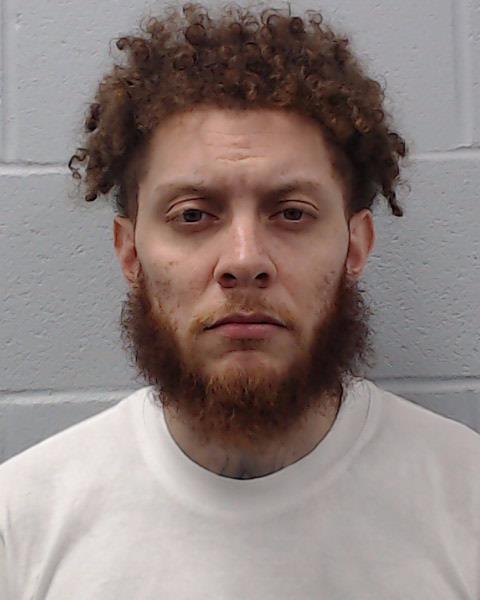 Perdomo Vazquez, German booking photo