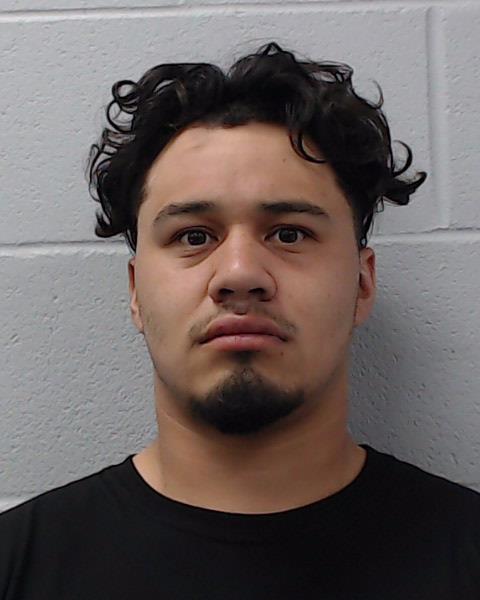 Ledesma, Alexander Luis booking photo
