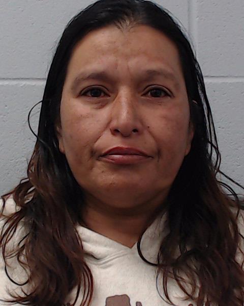 Gutierrez, Erika Lnette booking photo